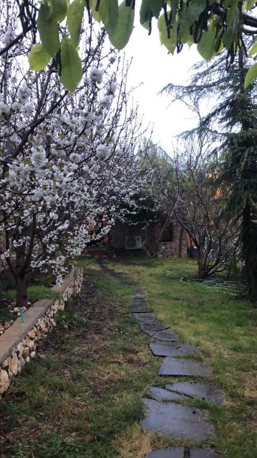Zimer Al-Bayt Mas'ada Exteriör bild